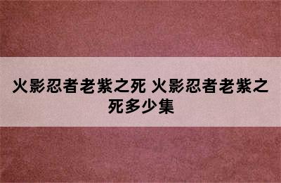 火影忍者老紫之死 火影忍者老紫之死多少集